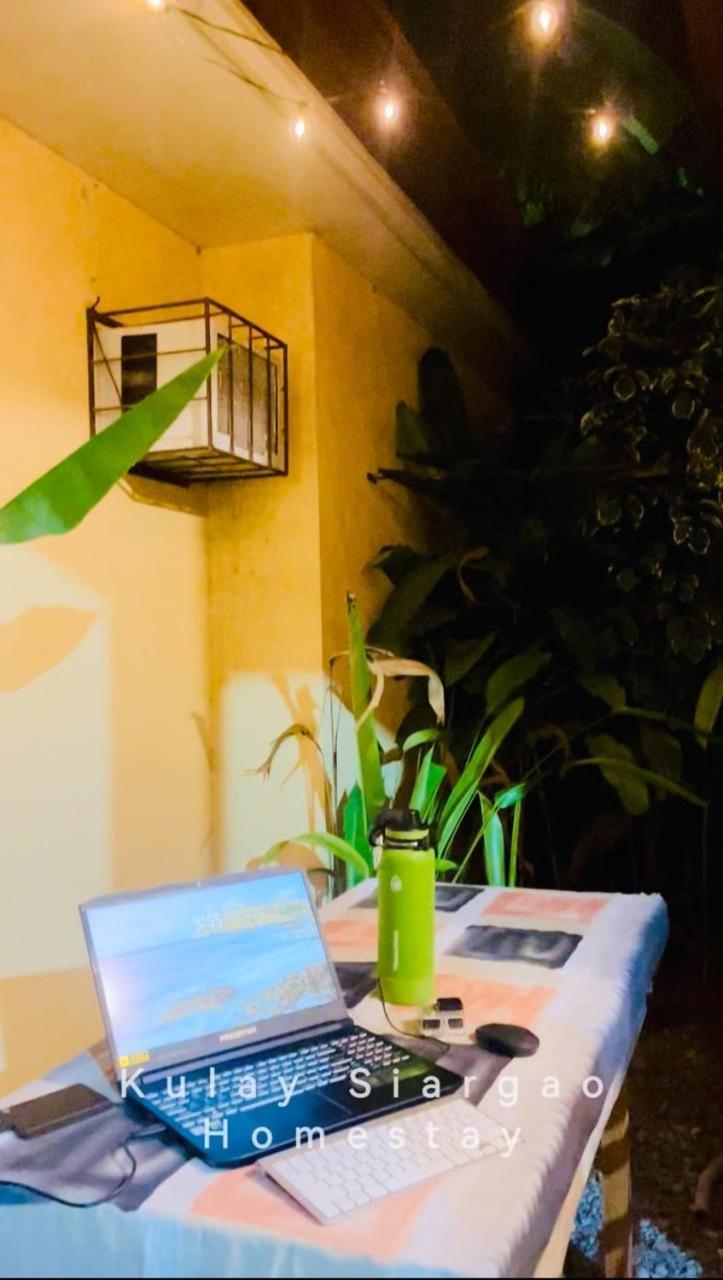 Ameeza Houze Homestay - Siargao Генерал-Луна Экстерьер фото