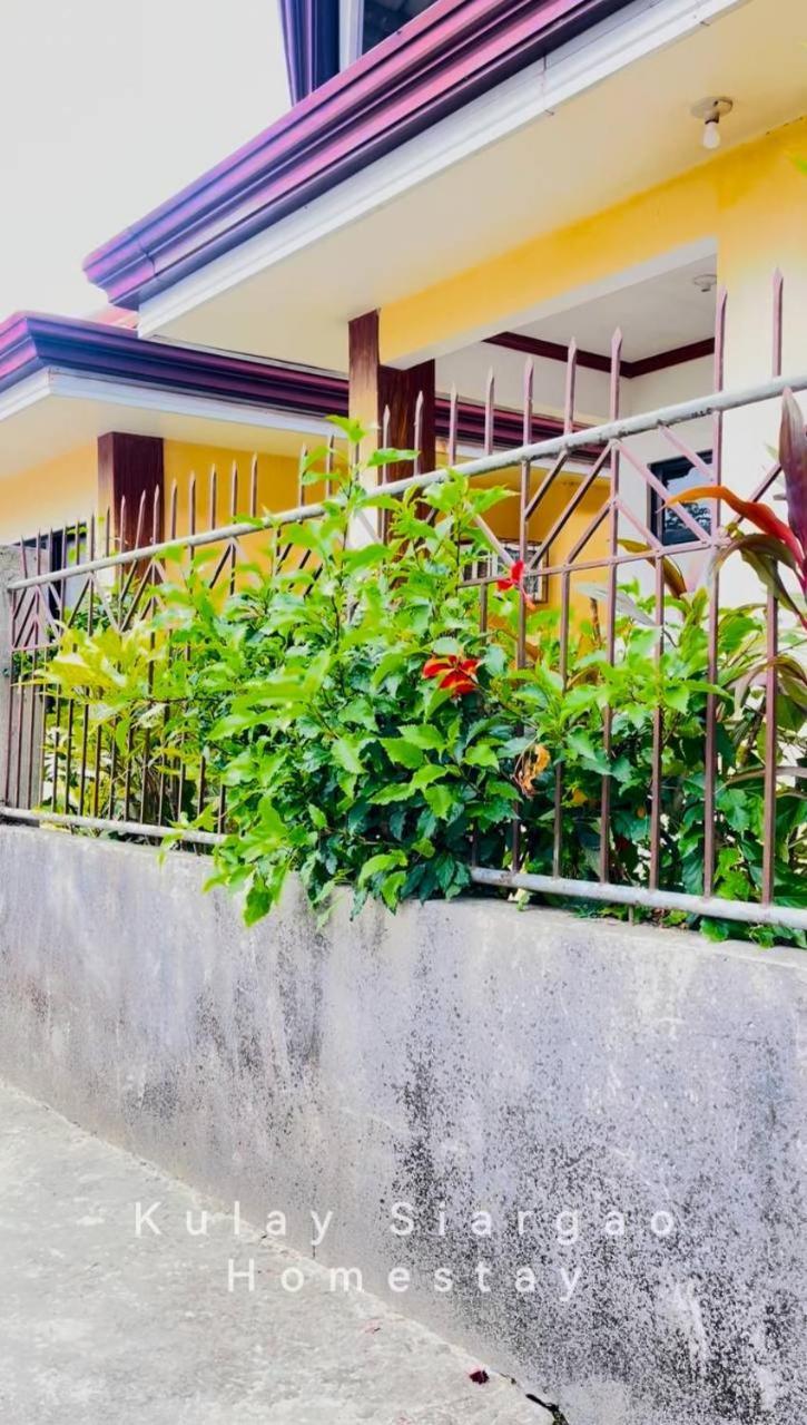 Ameeza Houze Homestay - Siargao Генерал-Луна Экстерьер фото